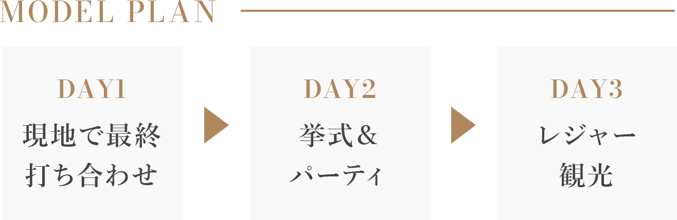 Model Plan DAY1現地で最終打ち合わせ  DAY2挙式＆パーティ DAY3レジャー観光